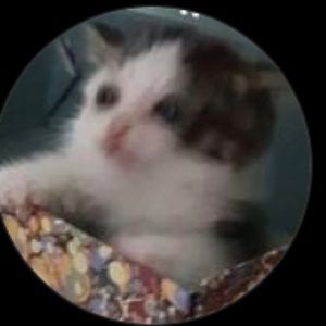 Meet your Posher, Jayleene